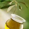 Оливковое масло: польза и вред при употреблении