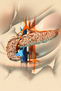 лечение поджелудочной железы