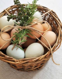 Куриные яйца: универсальный и незаменимый продукт 